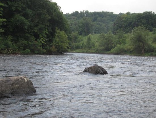 herkimer-koa-campground