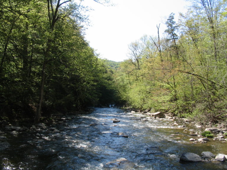 NY_Chittenango_Falls_Facing_Away