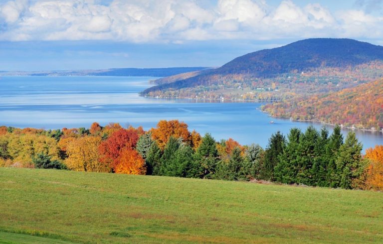 fall-foliage-county-road