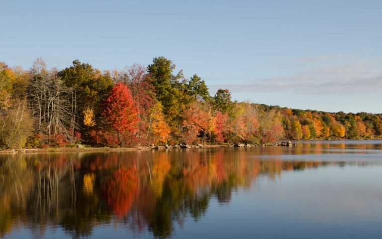 Lake-Welch-Upstate-New-York-NYFALLLEAF0817