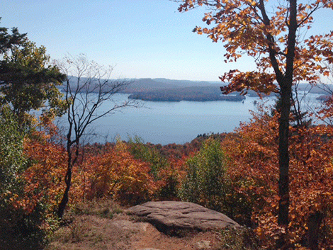 Photo-cranberry-foliage