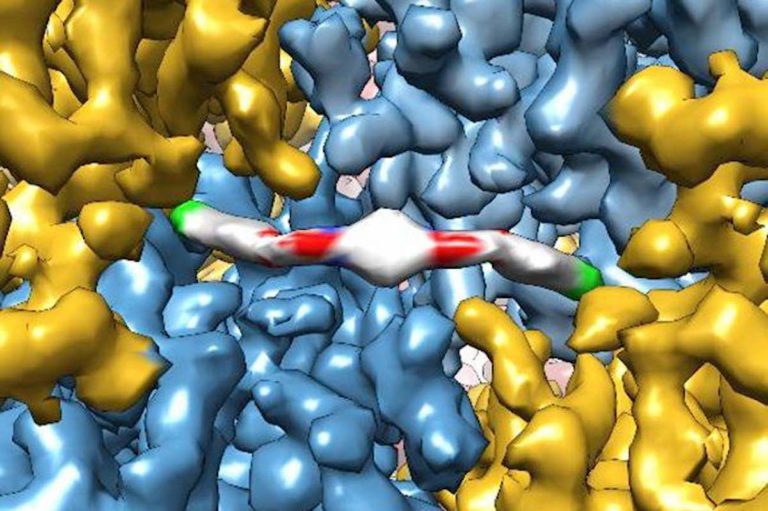 ISRIB-molecule-by-the-Adam-Frost-lab-UCSF-released