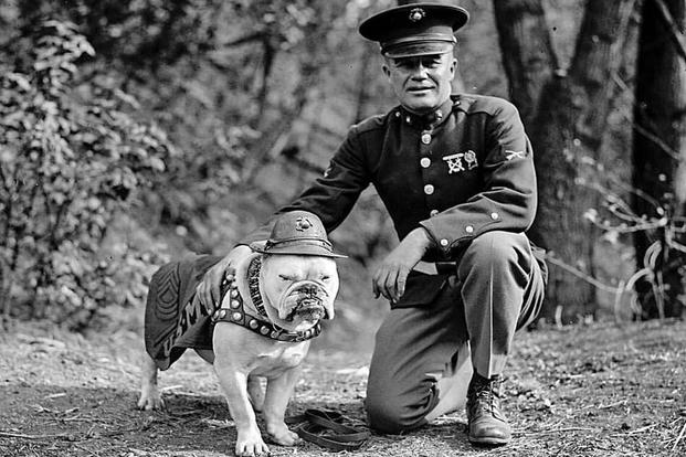 chesty_puller_mascot_1200 (1)