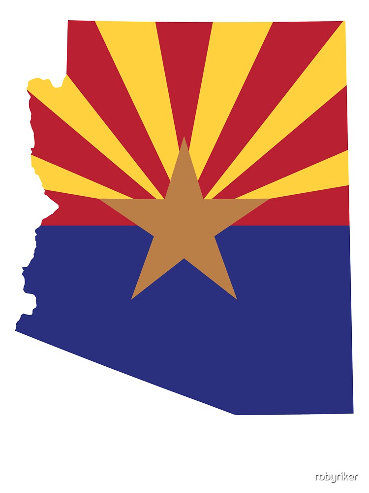 Arizona Audit 11