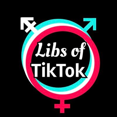 Libs of Tik Tok 2