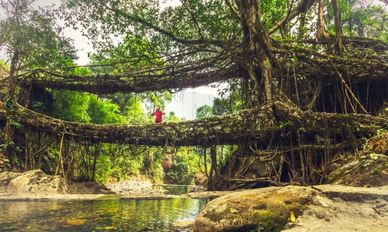 India Natural Bridge