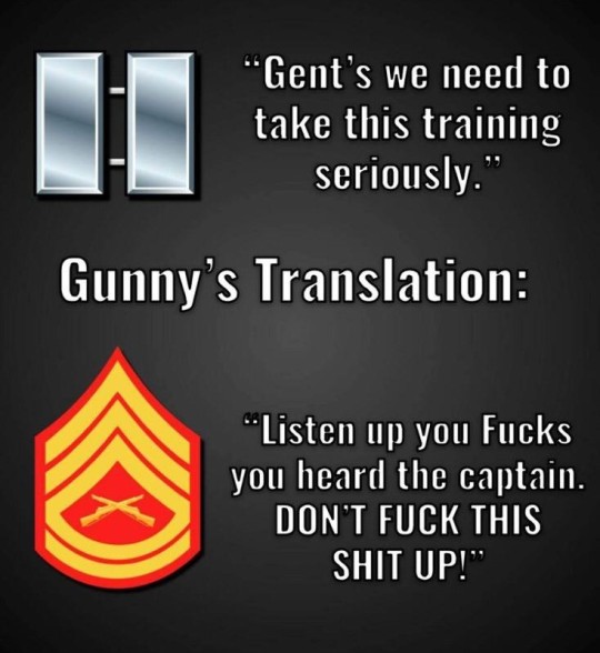 gunny