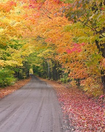 Tunnel of Trees, Keweenaw Peninsula, Michigan