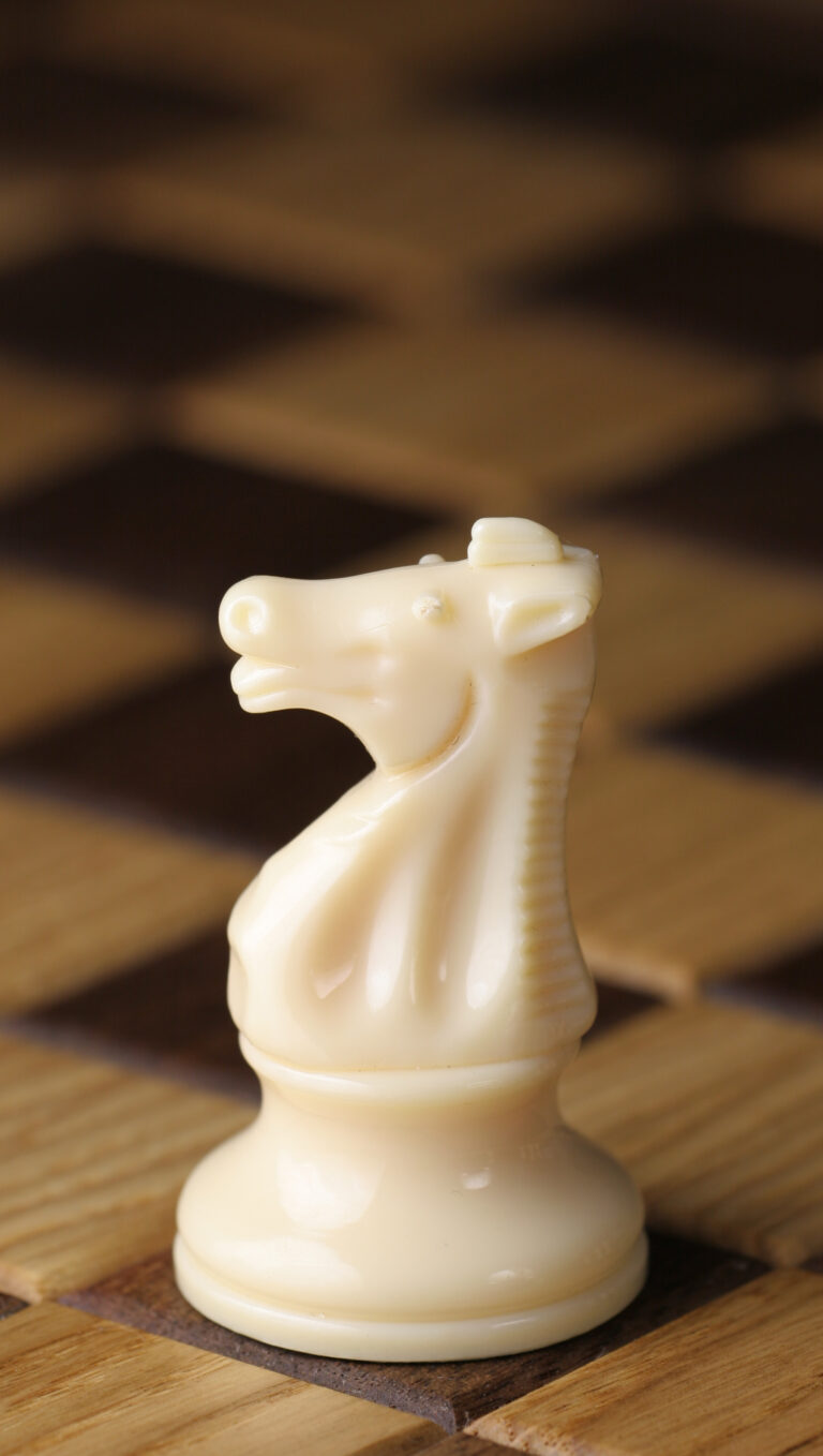 Chess_piece_-_White_knight-1656101357